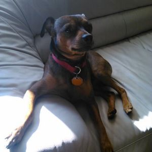 Meet your Posher, Deborah